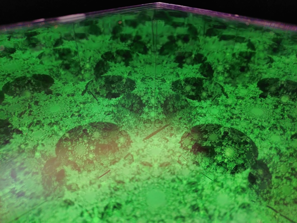 フラクタルボックス(green)