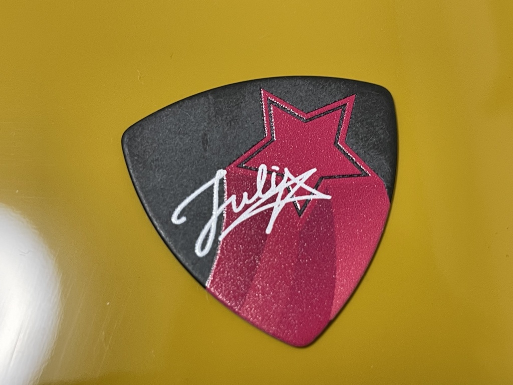 ギターピック 【ジュリア-モチーフデザイン】