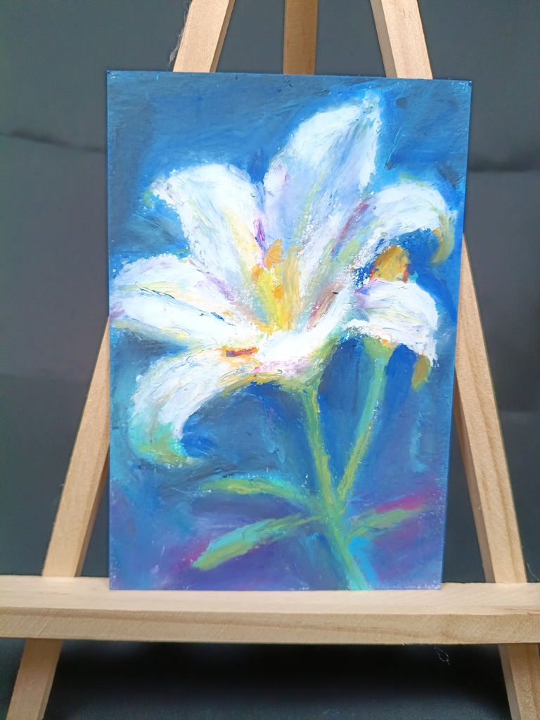 白百合|原画作品