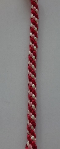 B 獅堂光 丸八つ 魔法騎士レイアース