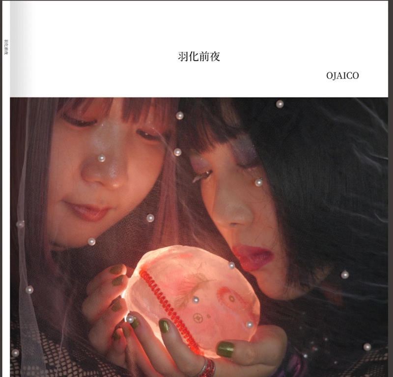 羽化前夜