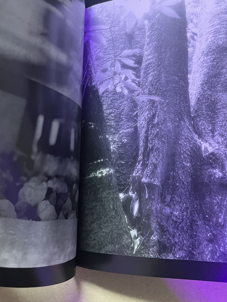 さようなら、平衡感覚。