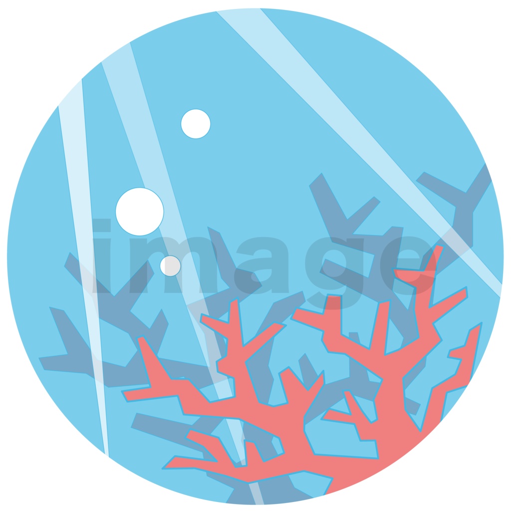 サンゴ礁シャツ