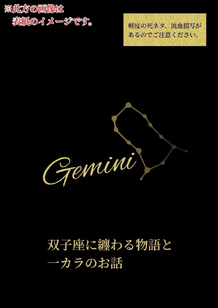Gemini【双子座一カラ本】