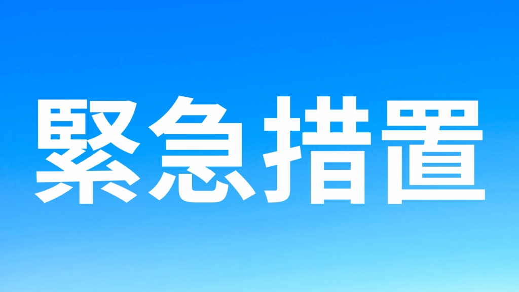 首相官邸 Naochan プロフ一読願い様 リクエスト 2点 まとめ商品