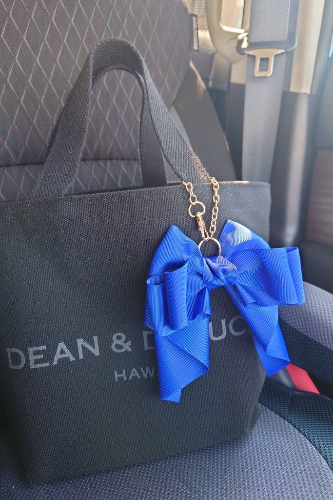 ヒプステ 大蜘蛛弾襄イメージ ふんわり華やか大きめリボン