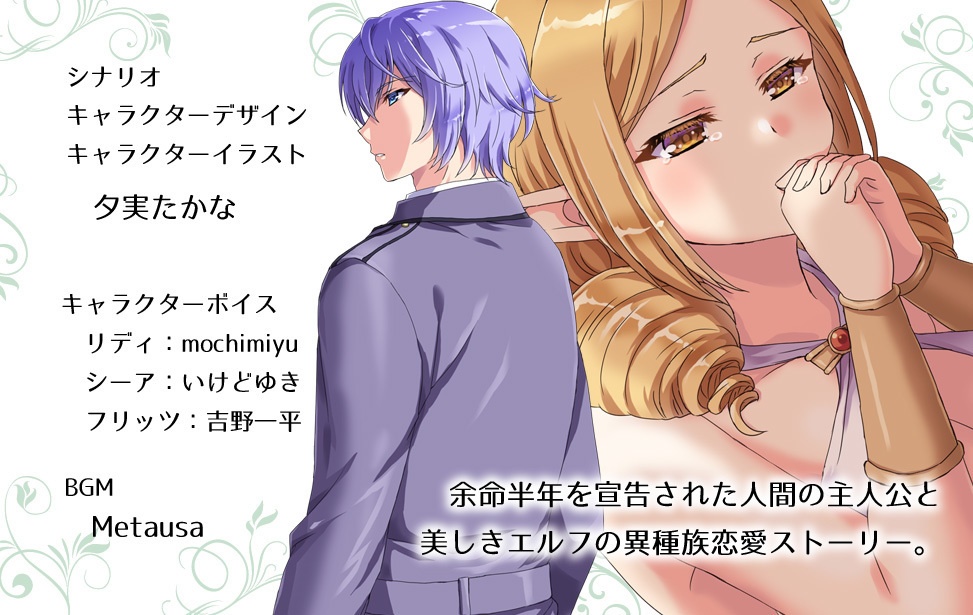 【フリーゲーム】美しきエルフ