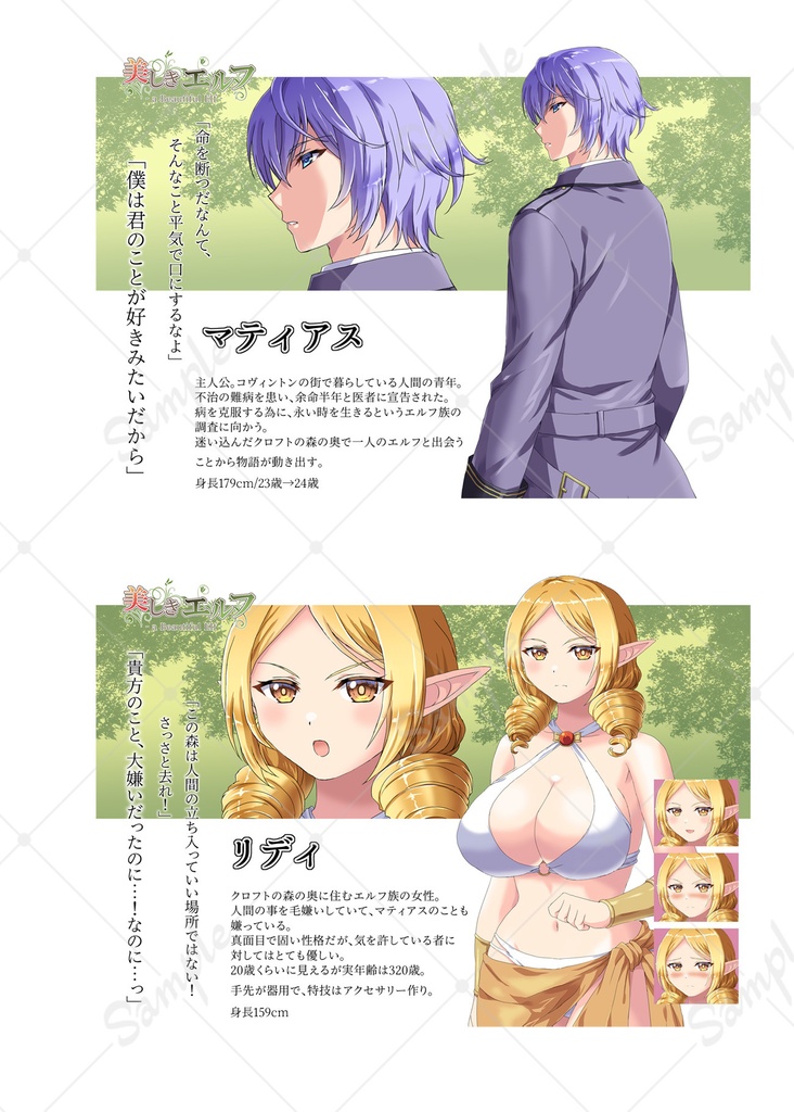 美しきエルフ オフィシャルビジュアルブック