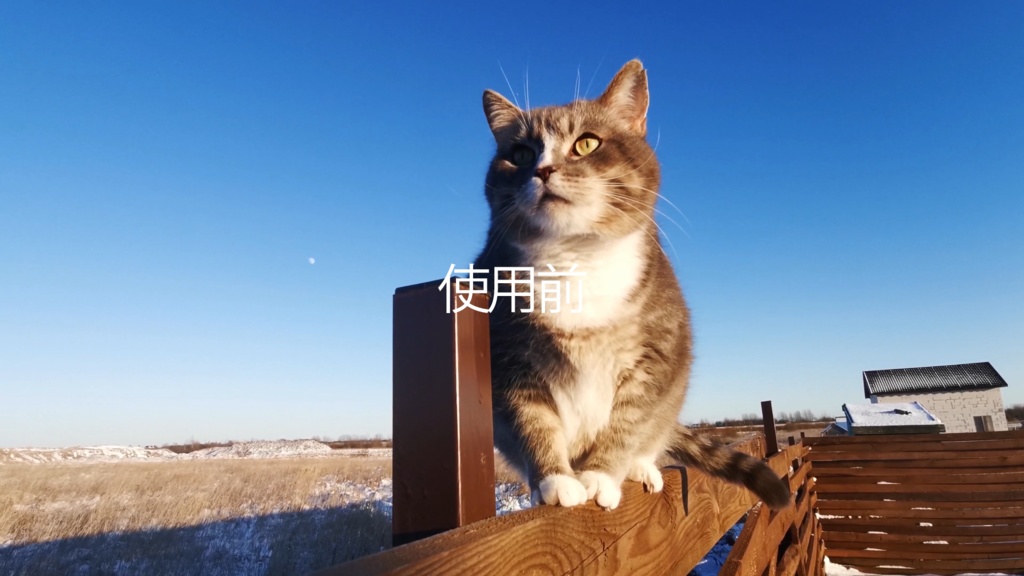 ホログラム化ループアニメーション素材|.mp4透過可能