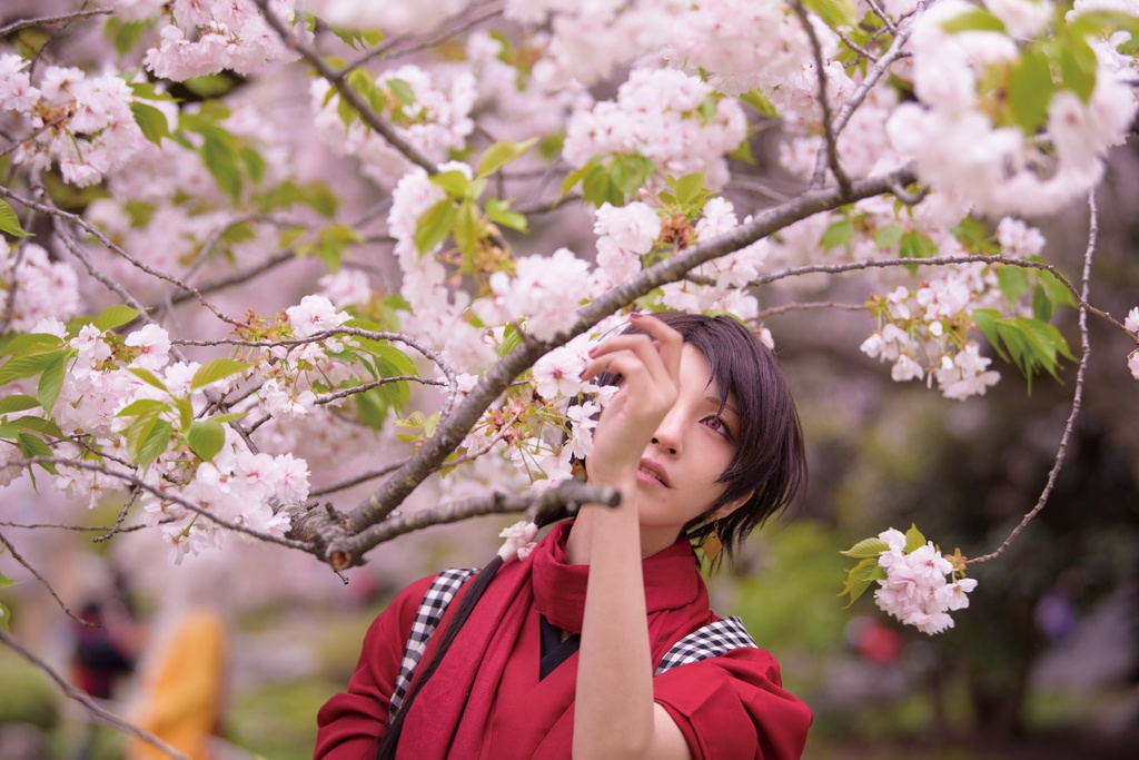「憶う」 加州清光写真集