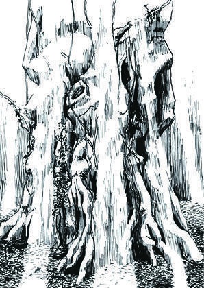 ミラードール【ドール三部作1】(ゲームブック)