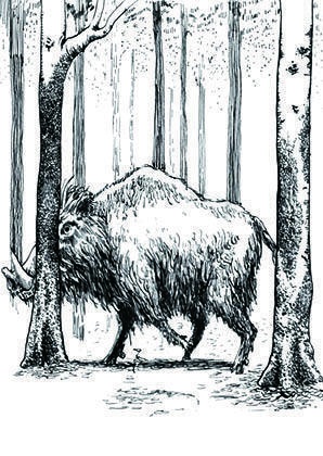 ミラードール【ドール三部作1】(ゲームブック)