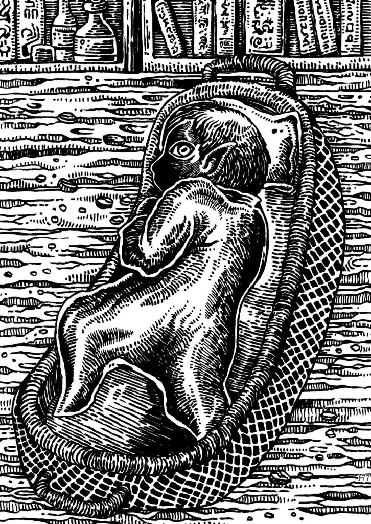 狂気山脈のささやき・ダンウィッチの怪(クトゥルフ・オリジン2)