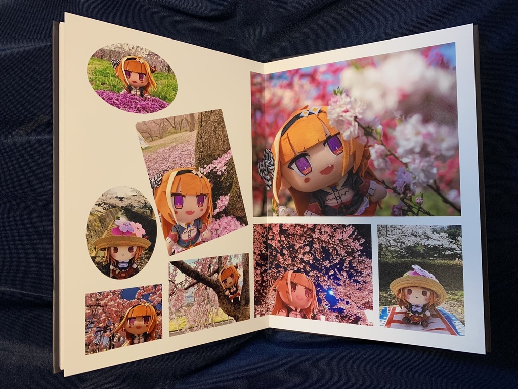 ぬいココフォトブック 一緒にお出かけだぞ桐生ココ 1