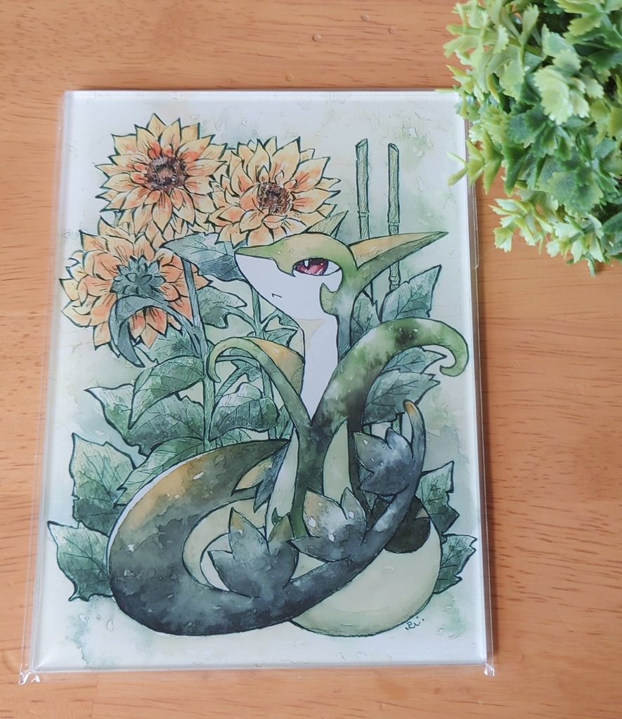 🌻アクリルパネル