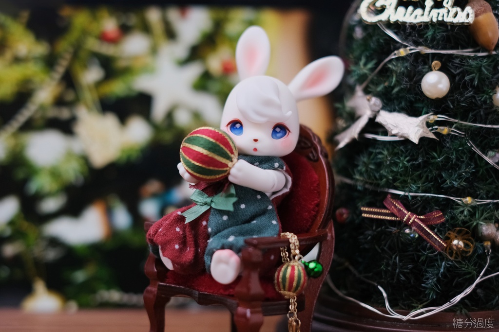 【Kumukuku‧Cocoriang】プチツアー