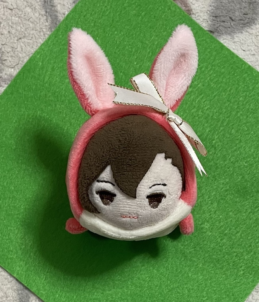 【C様専用・セミオーダー】もちもちマスコット用着ぐるみ・ショートイヤーうさちゃん(チェリーミルク×ゴールドラインリボン)