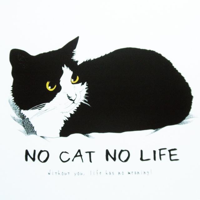 イラストクリアファイル No Cat No Life Gatekimanjyudou Booth