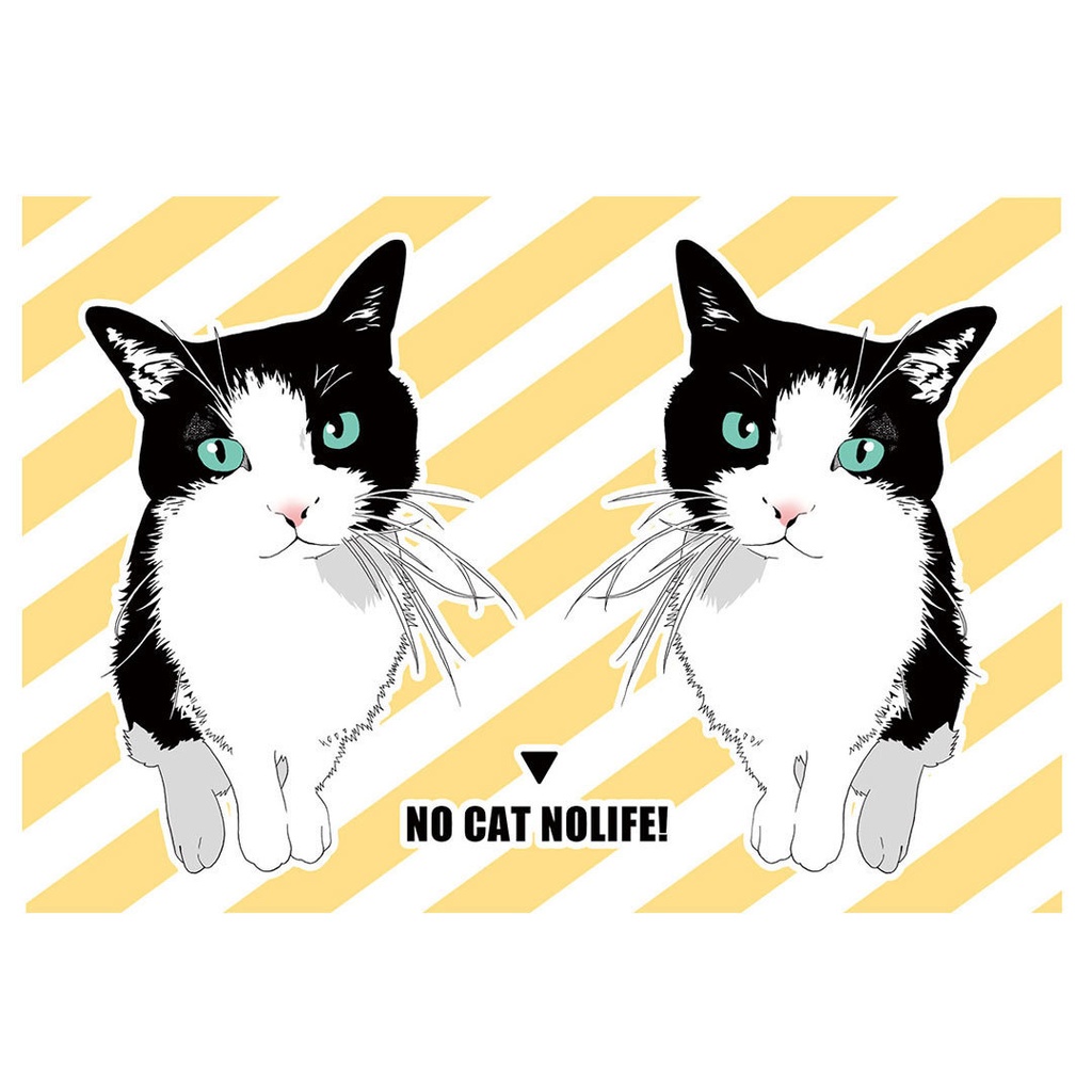 はちわれ猫のポストカード2種