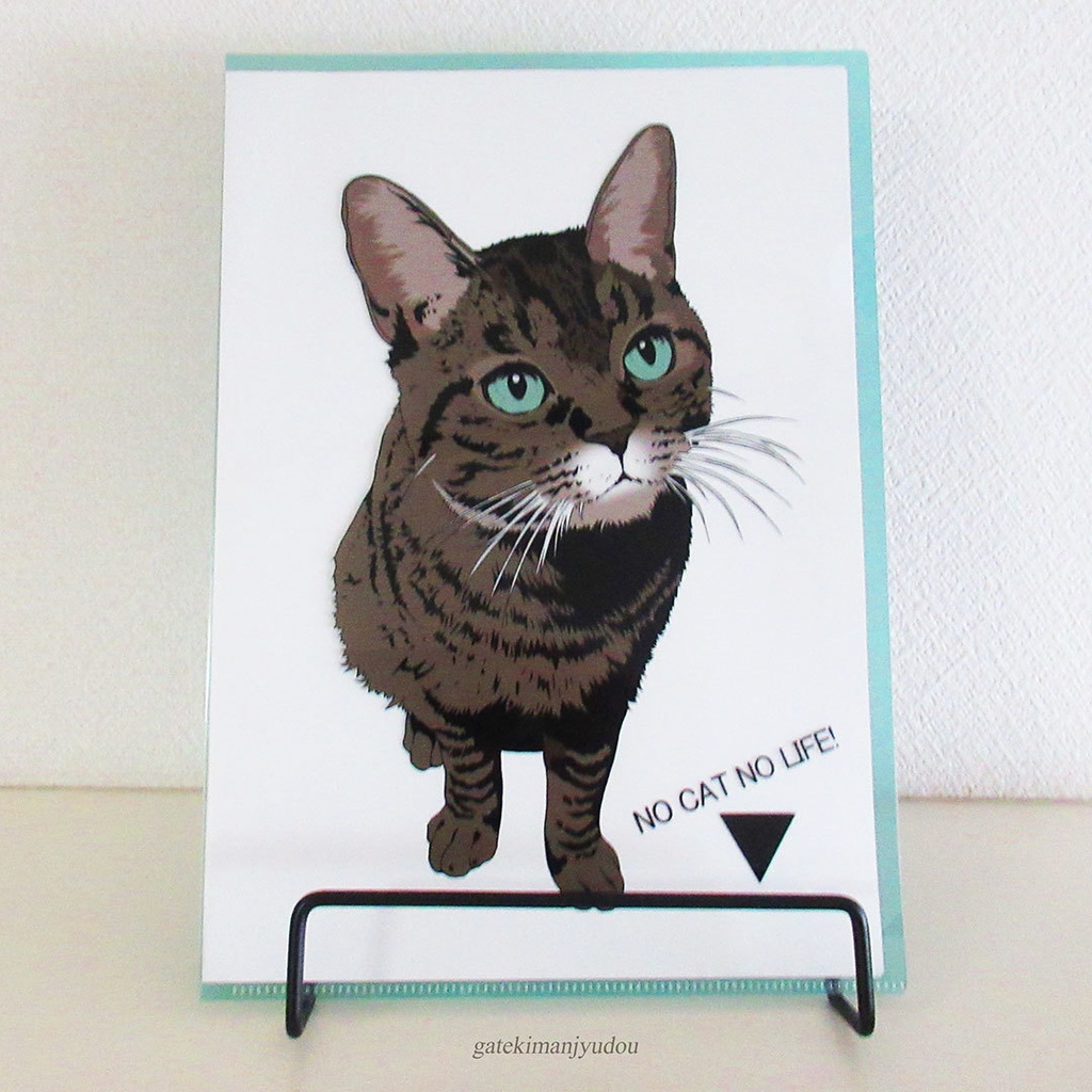 イラストクリアファイル/キジトラ