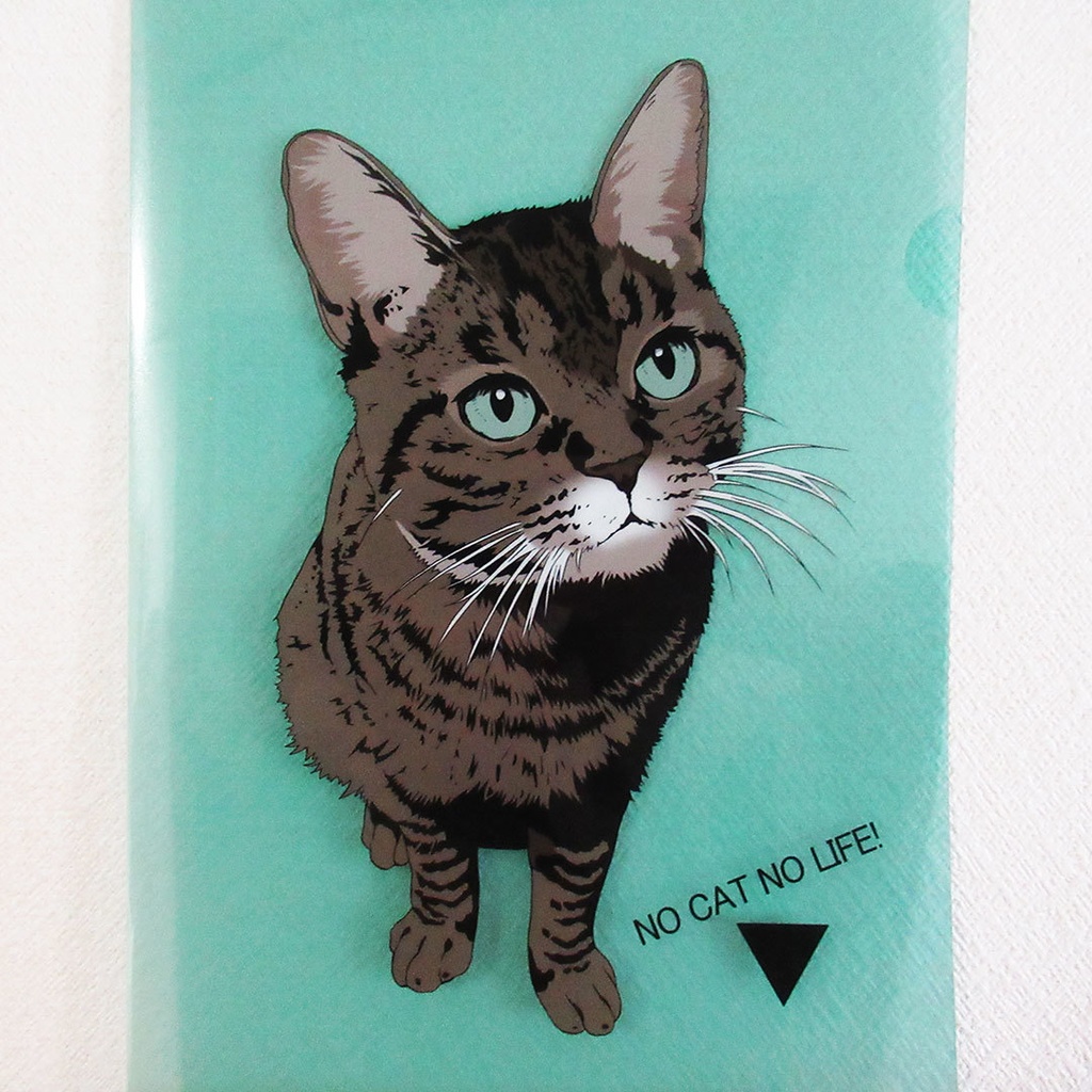 イラストクリアファイル/キジトラ