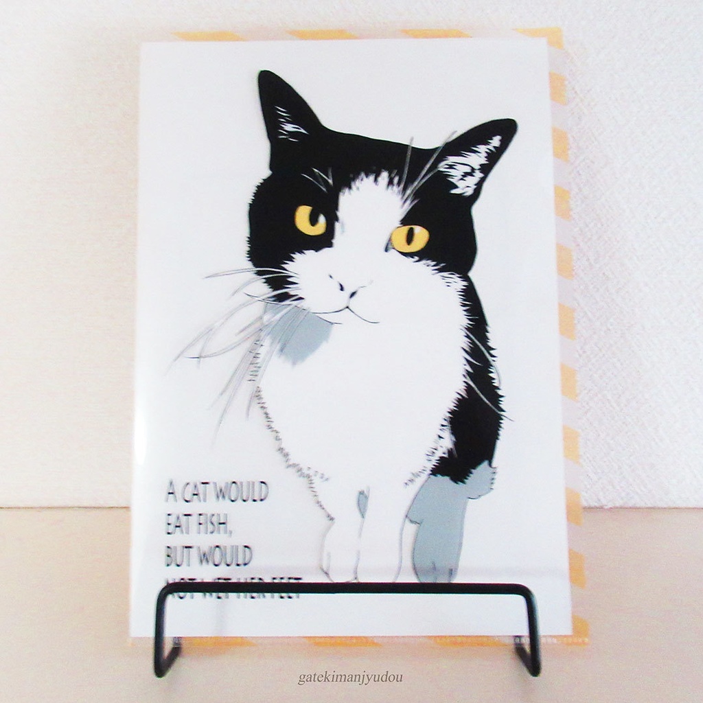 イラストクリアファイル/はちわれ