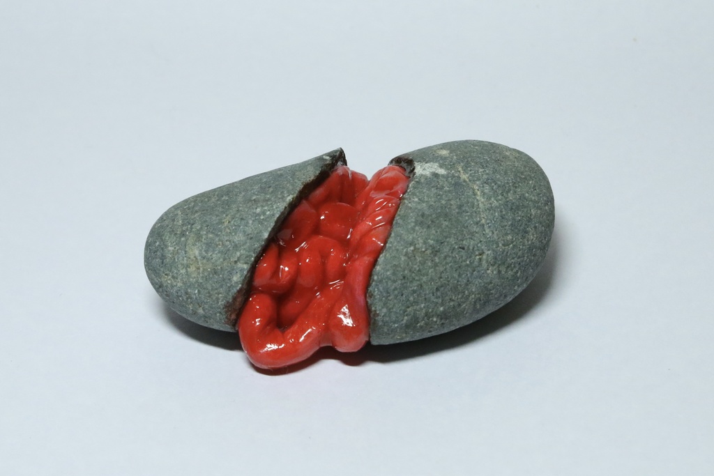Living stone #7