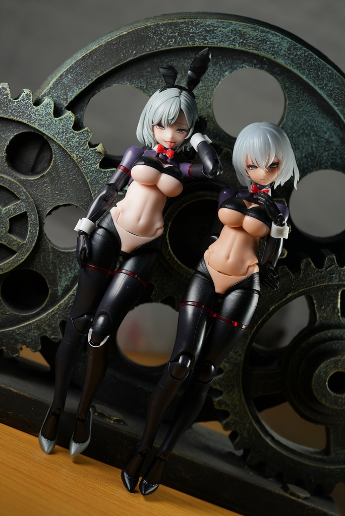 皇巫 スサノヲ 逆バニー改造キット (Skin 選択)