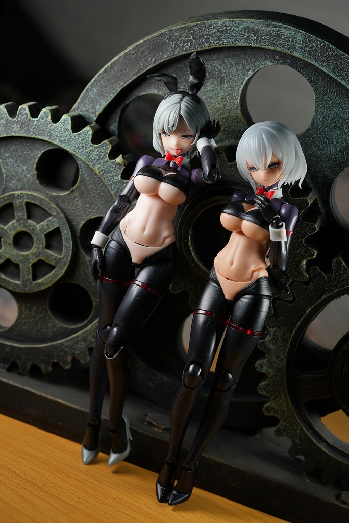 皇巫 スサノヲ 逆バニー改造キット (Skin 選択)