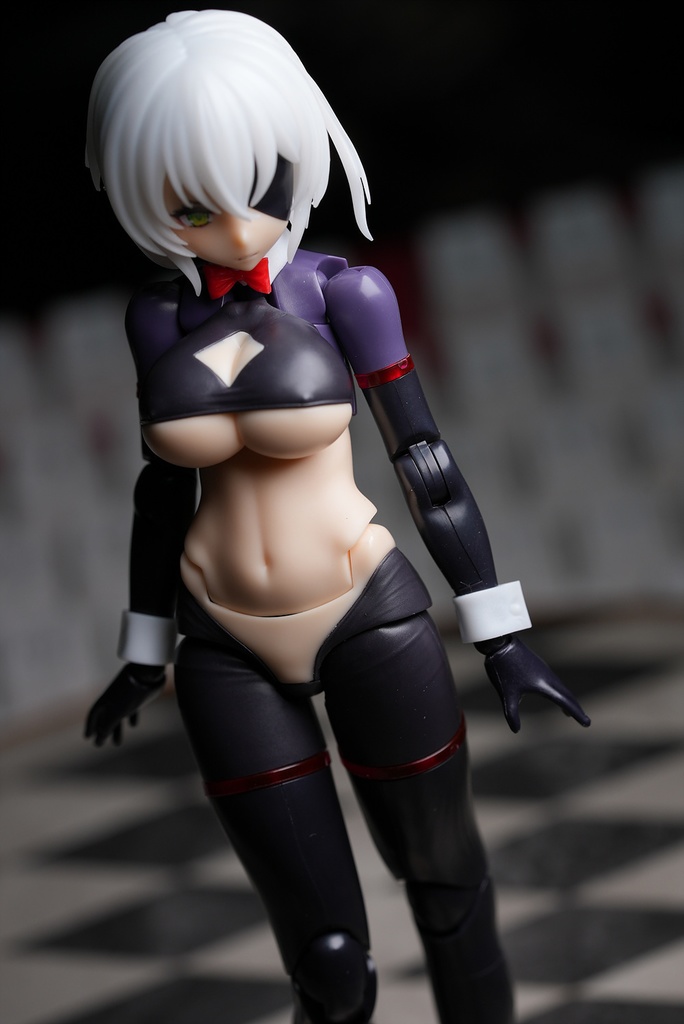 皇巫 スサノヲ 逆バニー改造キット (Skin 選択)