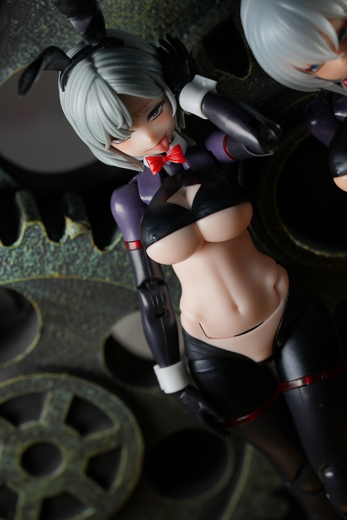 皇巫 スサノヲ 逆バニー改造キット (Skin 選択)