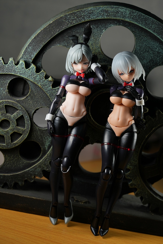 皇巫 スサノヲ 逆バニー改造キット (Skin 選択)