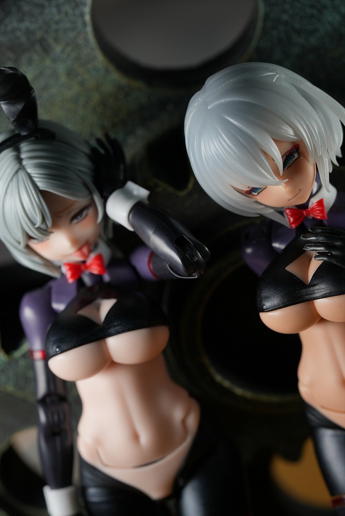 皇巫 スサノヲ 逆バニー改造キット (Skin 選択)