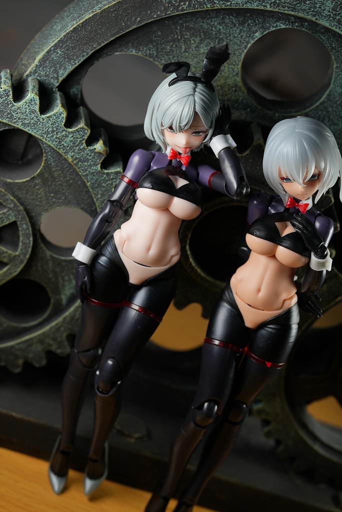 皇巫 スサノヲ 逆バニー改造キット (Skin 選択)