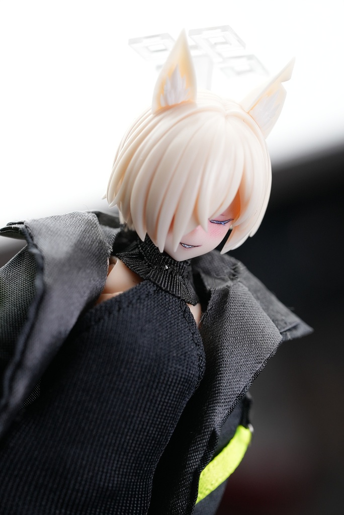 BAF-012]ブルーアーカイブ ヘッドパーツセット - カンナver.2