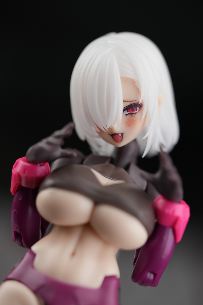 (WF予定)[MFK-16] フェイスパーツセット (カラープリント 完成品)