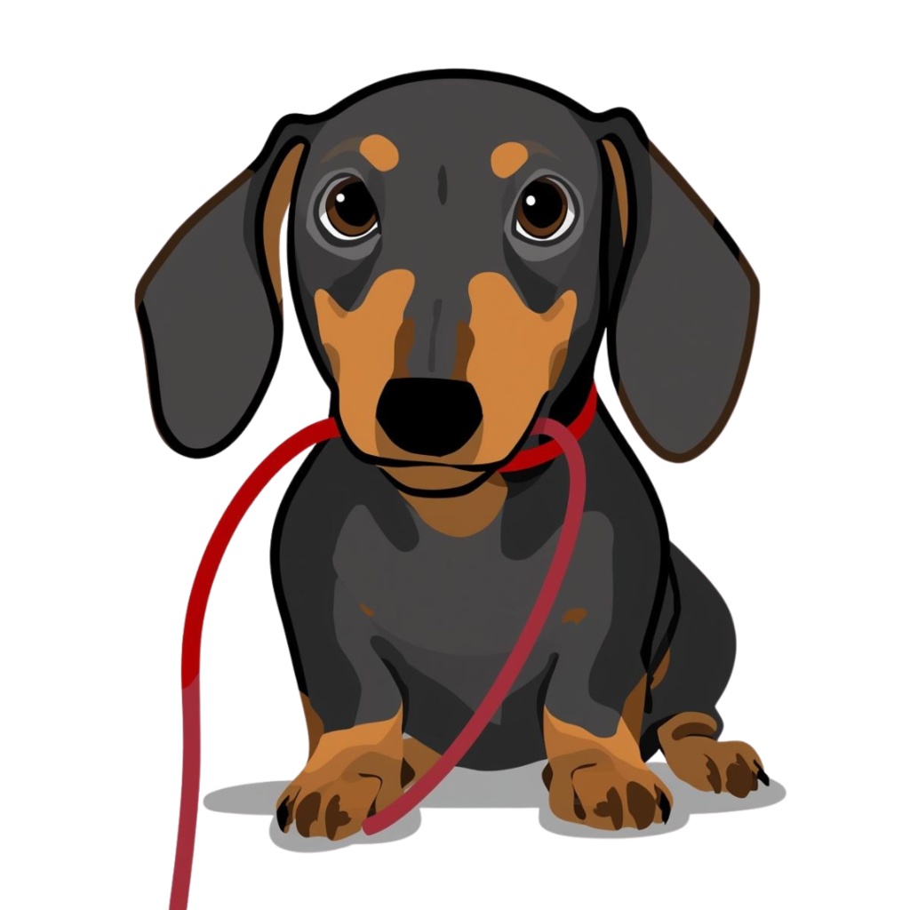 🐾 ミニチュアダックスフンドの日常シリーズ・フラットイラスト風クリップアート(全12種類・PNG形式・背景透過)🐾