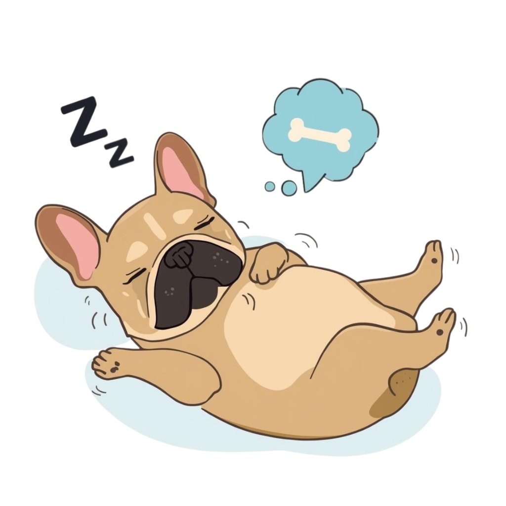 🐾 フレンチブルドッグの日常シリーズ・フラットイラスト風クリップアート(全12種類・PNG形式・背景透過)🐾