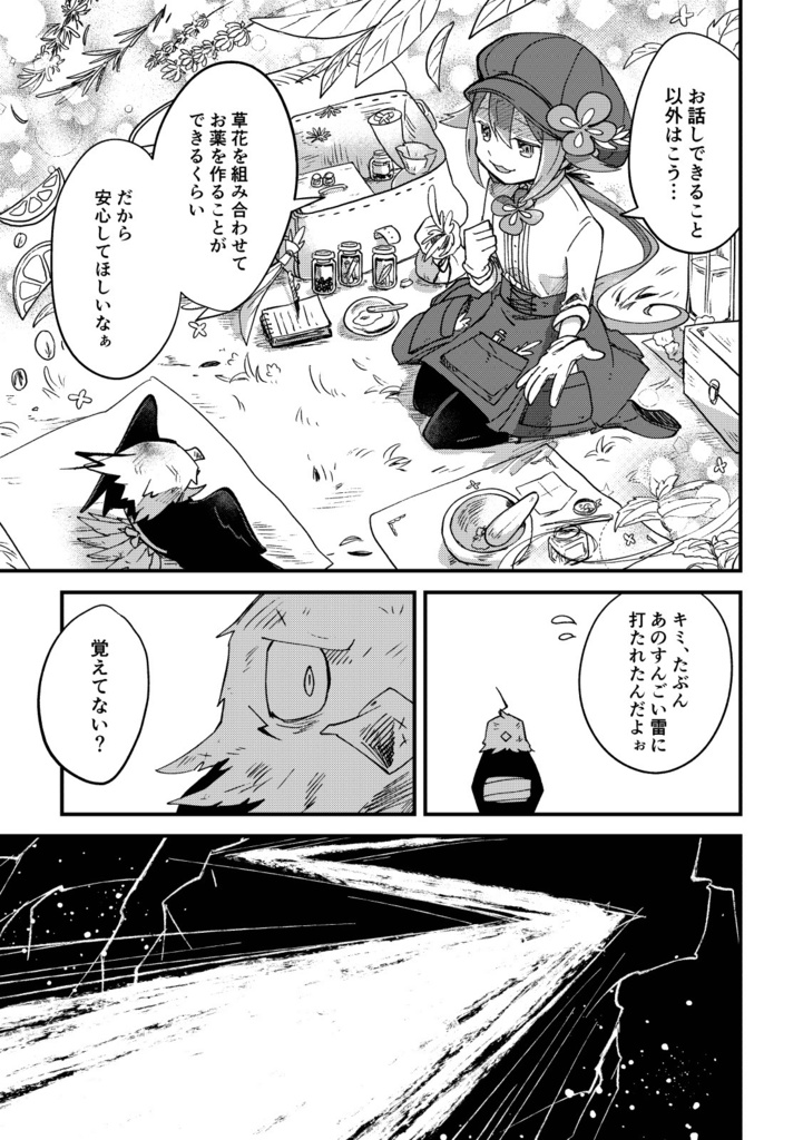 薬師少女と嵐鷲 1