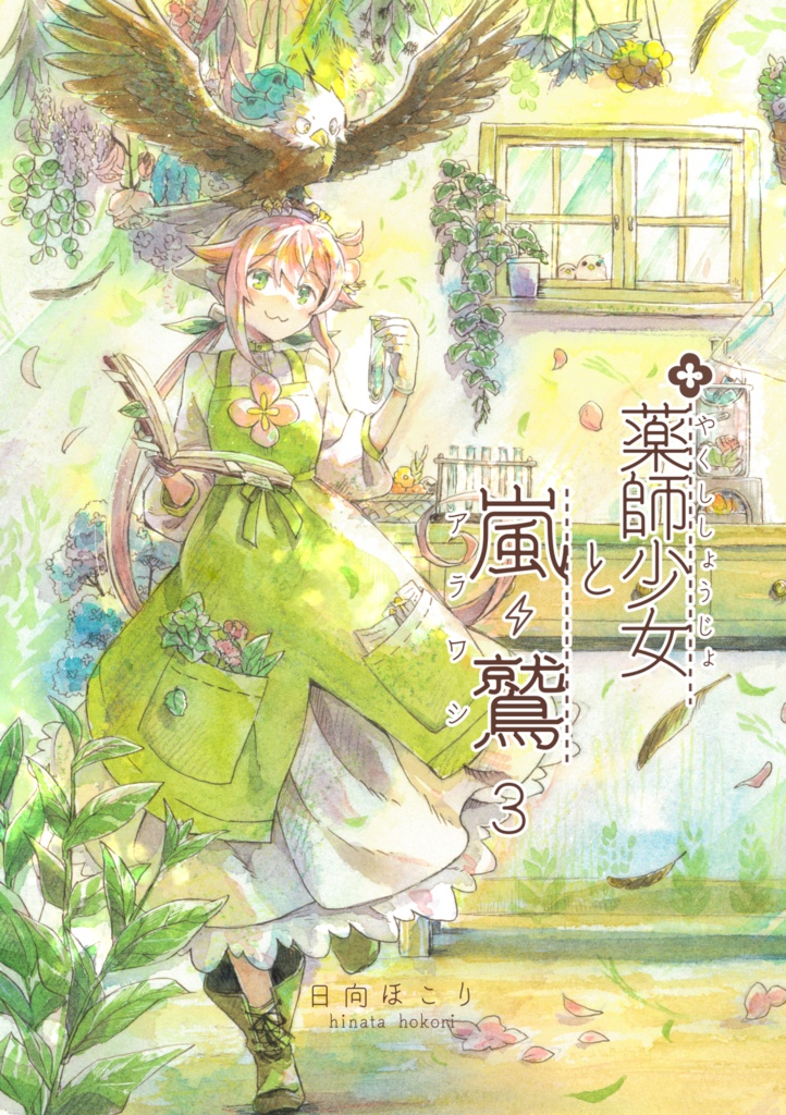 薬師少女と嵐鷲 3