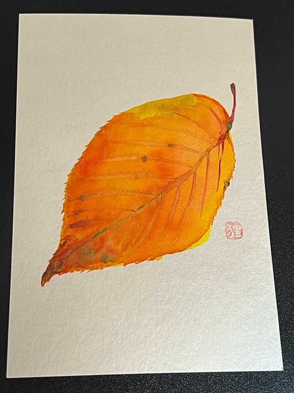 【絵葉書】落ち葉【原画】