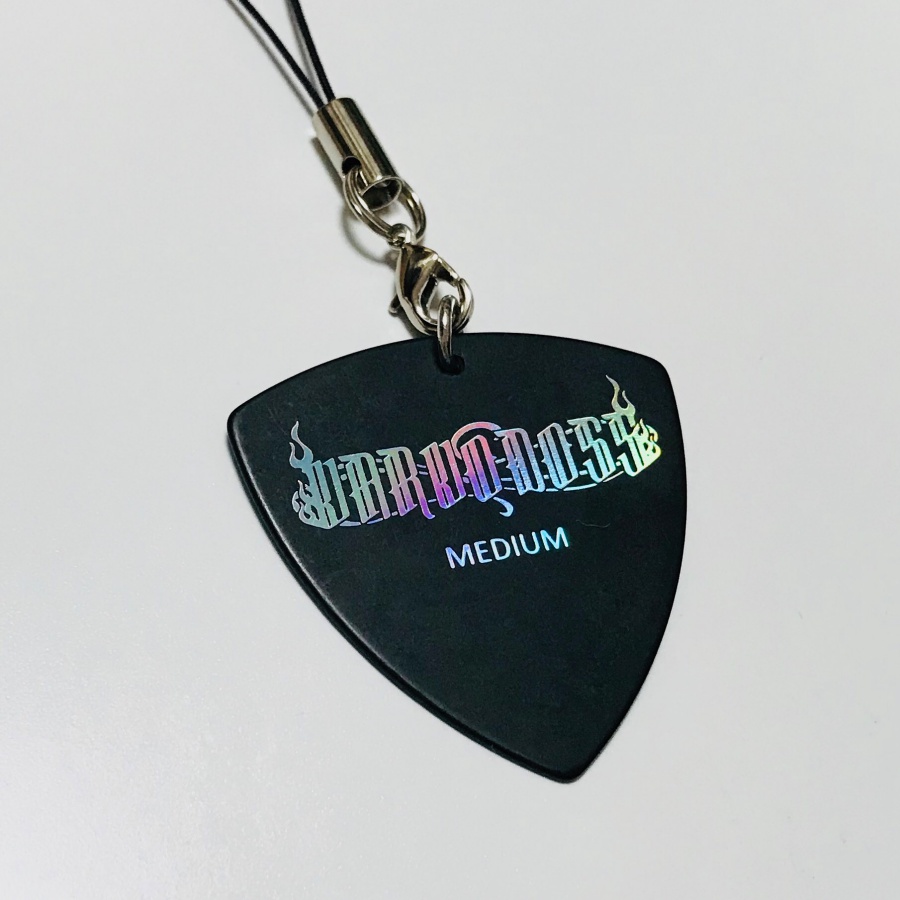 【数量限定】オリジナルギターピック【Joeモデル】