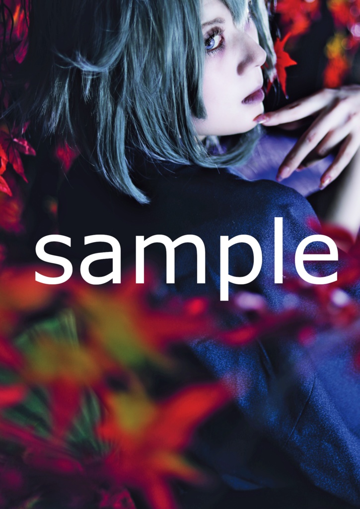 「密」(ひそか) ENDROLL 龍禅コスプレ写真集