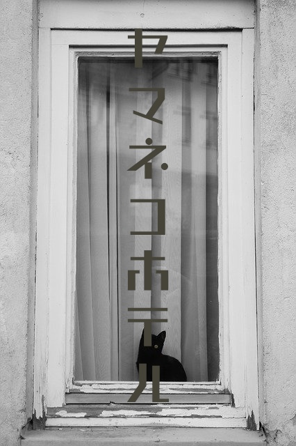 【CoCシナリオ】ヤマネコホテル