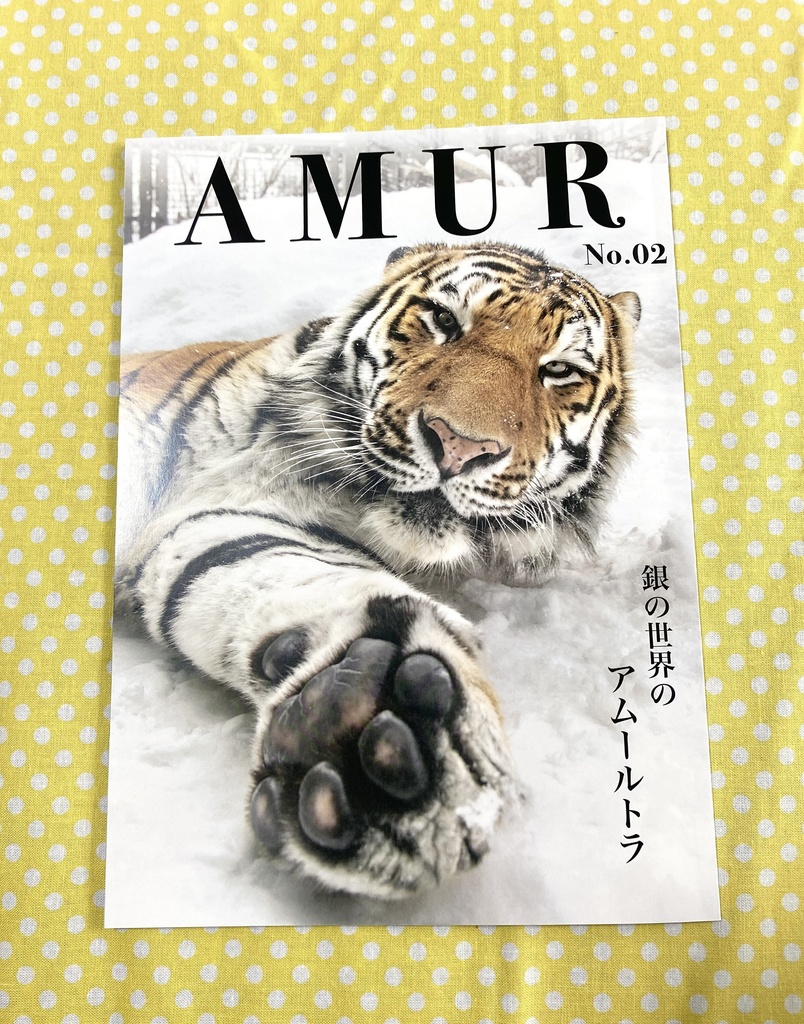 AMUR 02