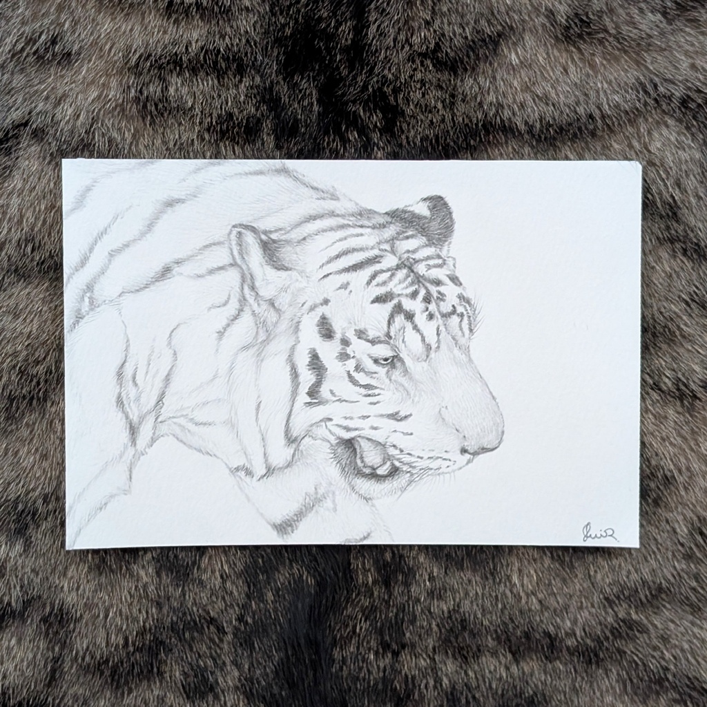 〈Tiger〉