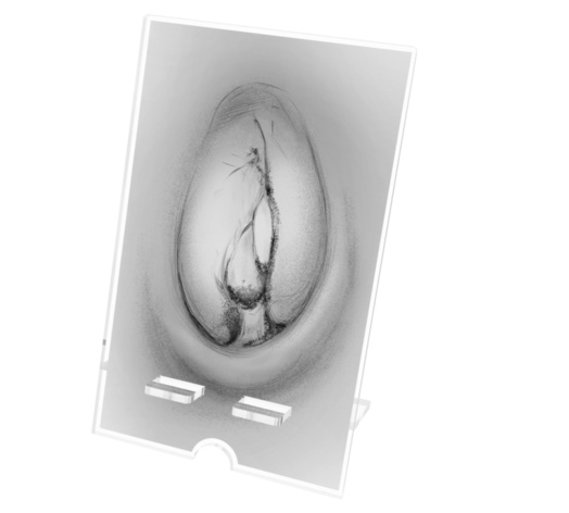 Sell Phone Stand (3shapes)