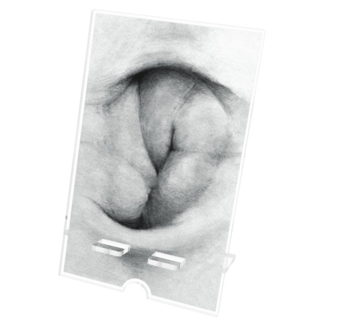 Sell Phone Stand (3shapes)