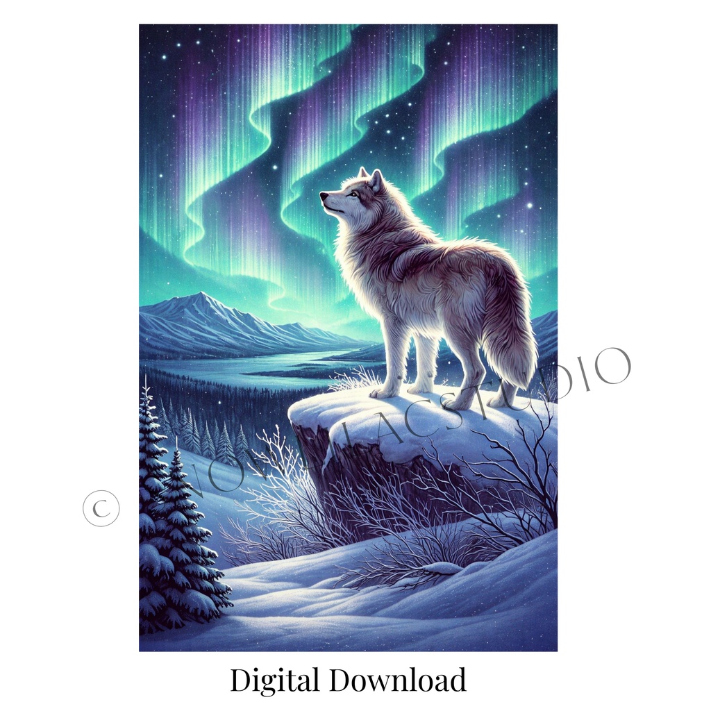 Aurora Guardian｜オーロラの守護者