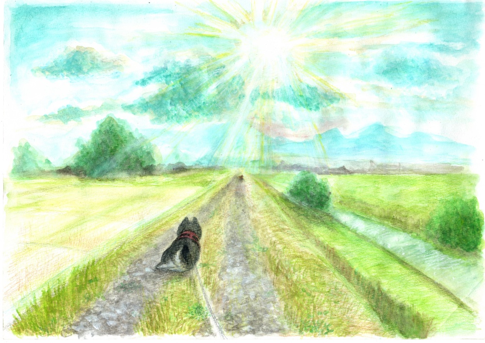 イラスト原画:犬散歩